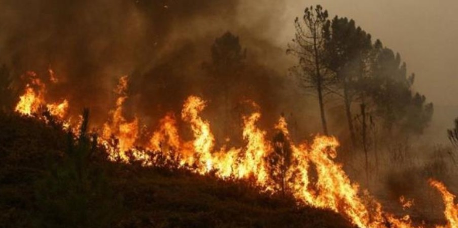 Υπό πλήρη έλεγχο τέθηκε δασική πυρκαγιά σε περιοχή των Λευκάρων της επαρχίας Λάρνακας